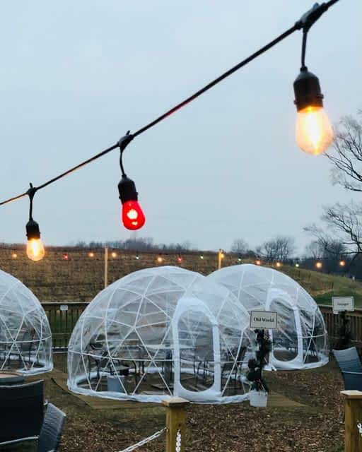 Photo Gallery Grape and Grain Tours